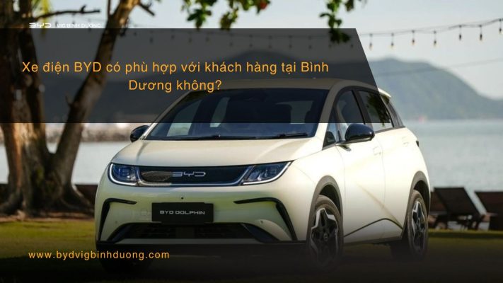 XE DIEN BYD CO PHU HOP VOI KHACH HANG TAI BINHN DUONG KHONG?