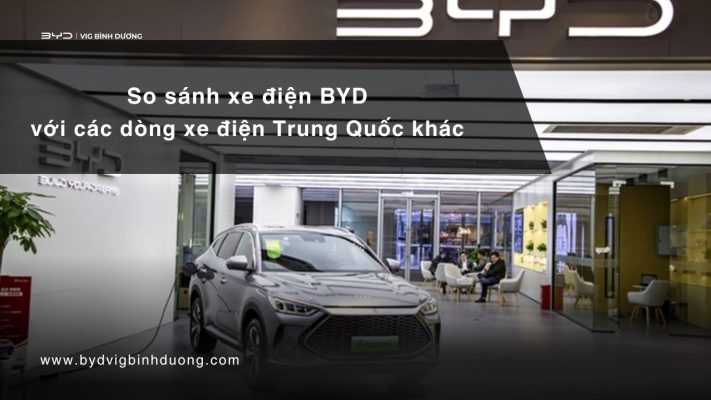 Xe BYD và các dòng xe Trung Quốc khác