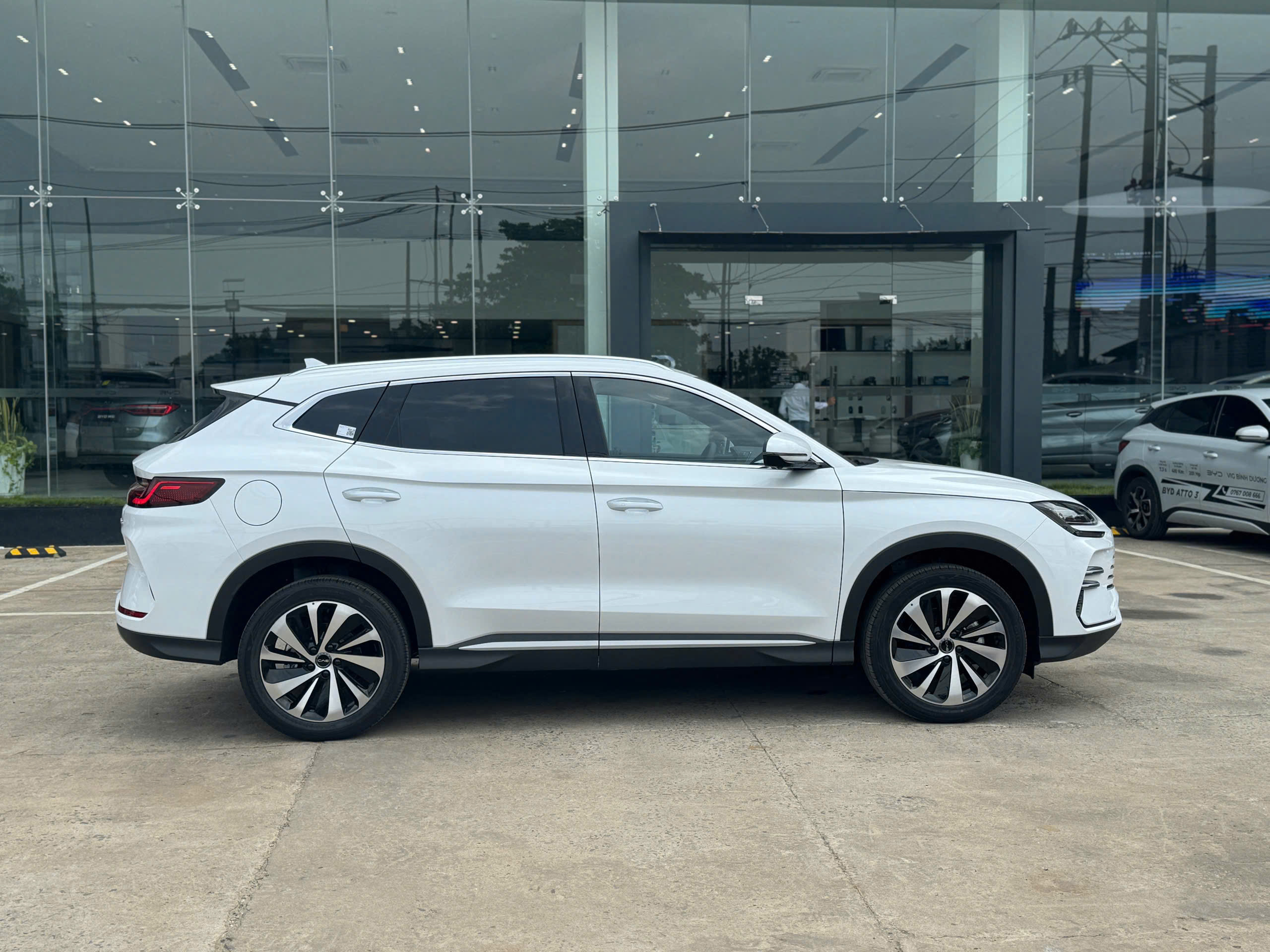 BYD Sealion 6 2026 màu trắng tại showroom BYD Bình Dương