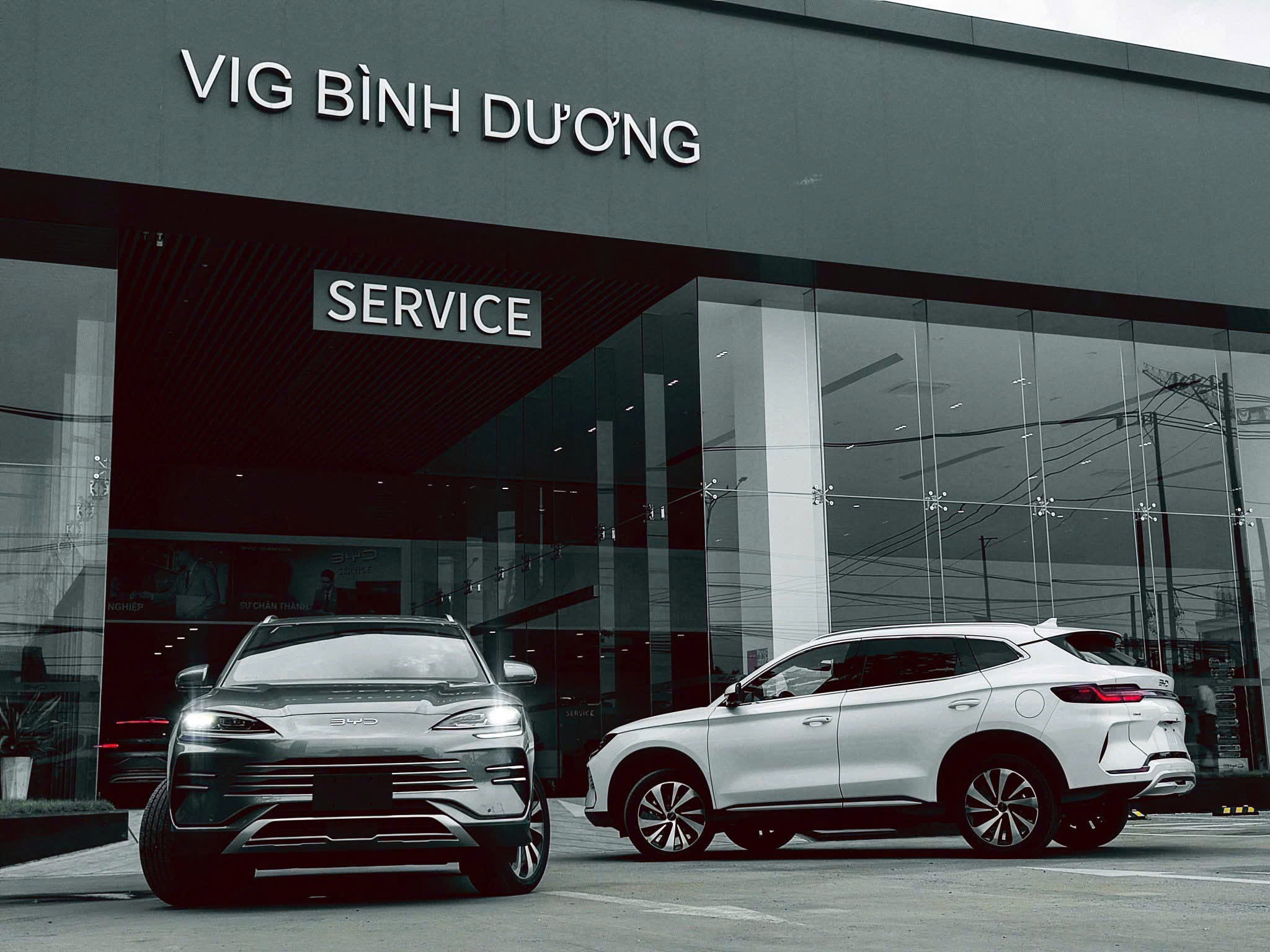 BYD Sealion 6 2026 tại showroom VIG Bình Dương