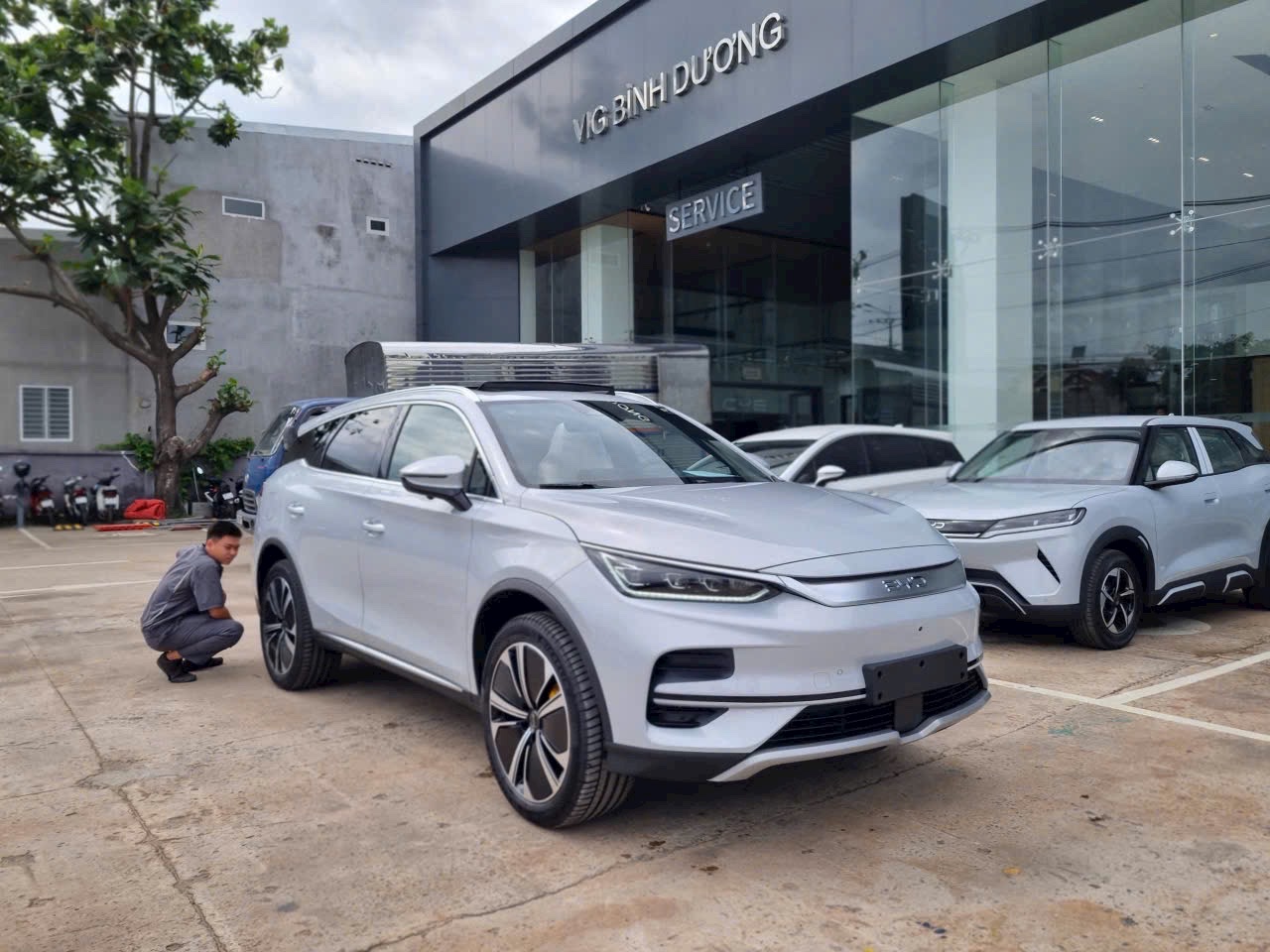 BYD Sealion 8 2026 tại showroom VIG Bình Dương